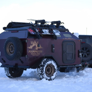 WLY Mammoth in the snow