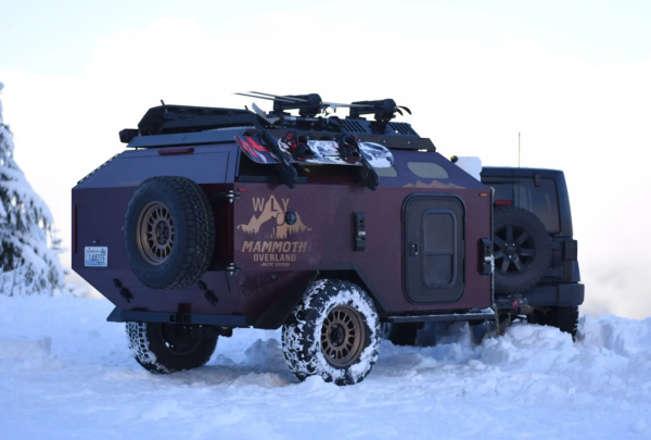 WLY Mammoth in the snow