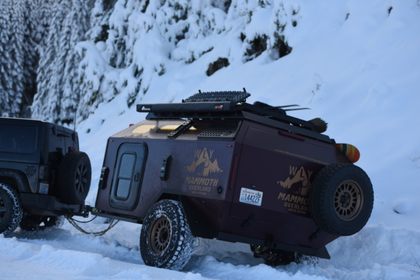 WLY Mammoth in the Snow